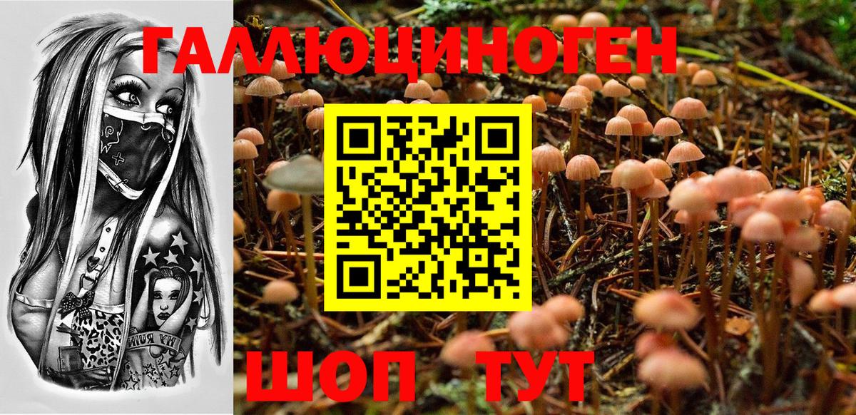 Псилоцибиновые грибы Psilocybe  Вход с VPN  Калач-на-Дону 