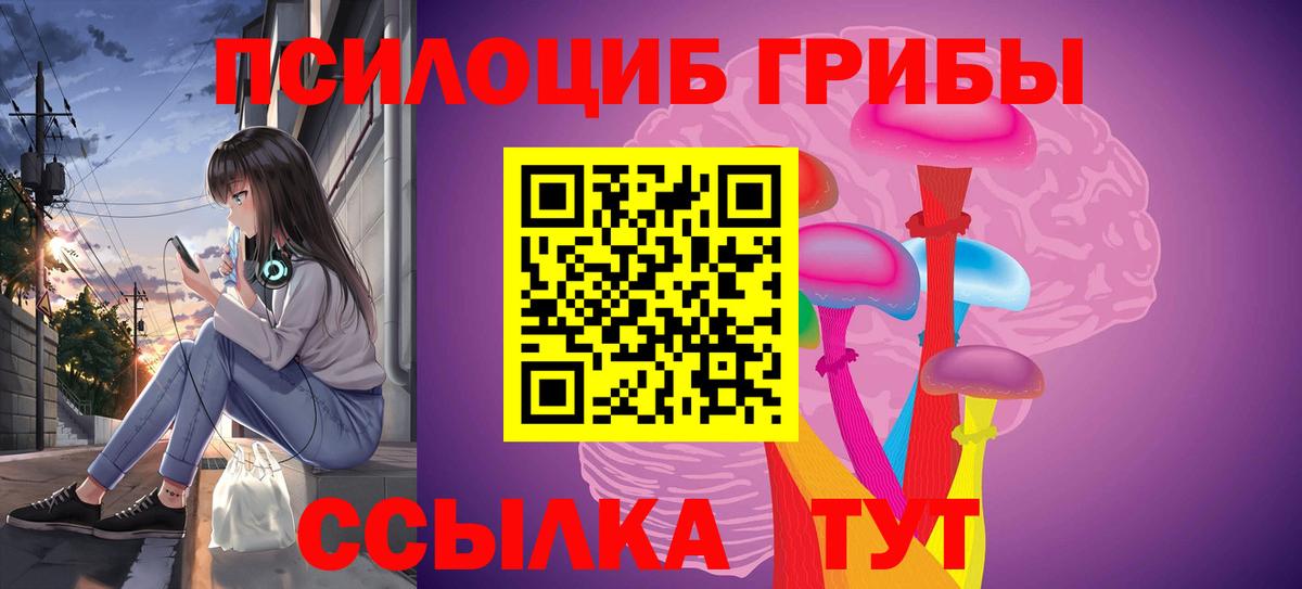 Галлюциногенные грибы Psilocybine cubensis Калач-на-Дону